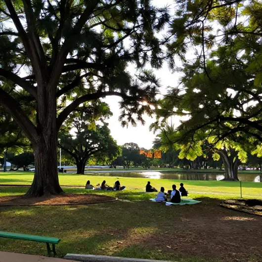 Descubra o Parque Augusto Franco