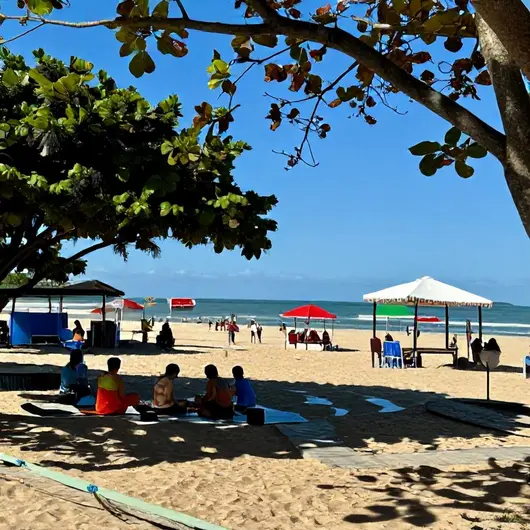 Descubra Passeios ao Ar Livre em Aracaju: O Que Fazer Dependendo do Clima