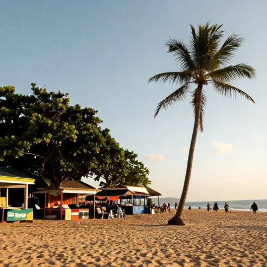Maximize sua Experiência em Aracaju: Dicas para Alta Temporada Maximize sua Experiência em Aracaju: Dicas para Alta Temporada